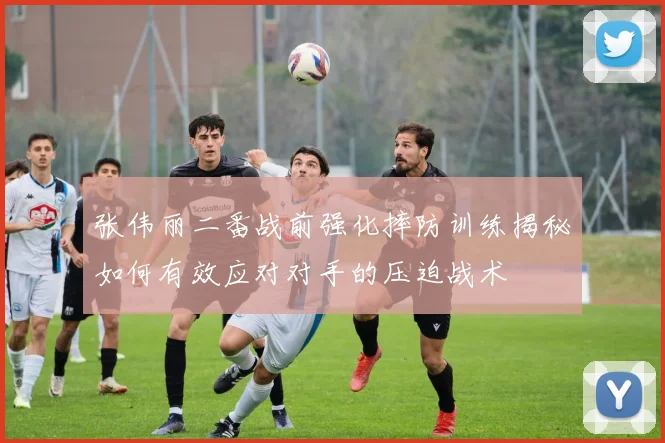 张伟丽二番战前强化摔防训练揭秘如何有效应对对手的压迫战术