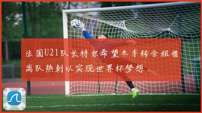 法国U21队长特尔希望冬季转会租借离队热刺以实现世界杯梦想
